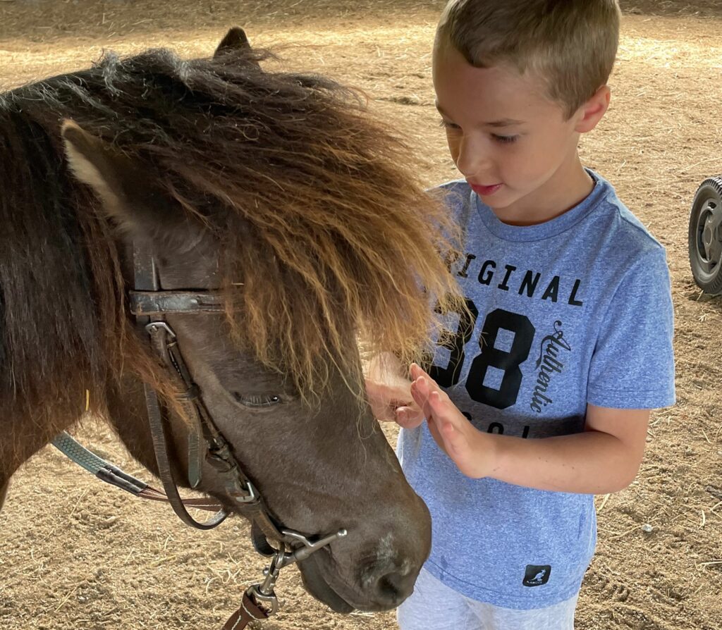 enfant poney connection