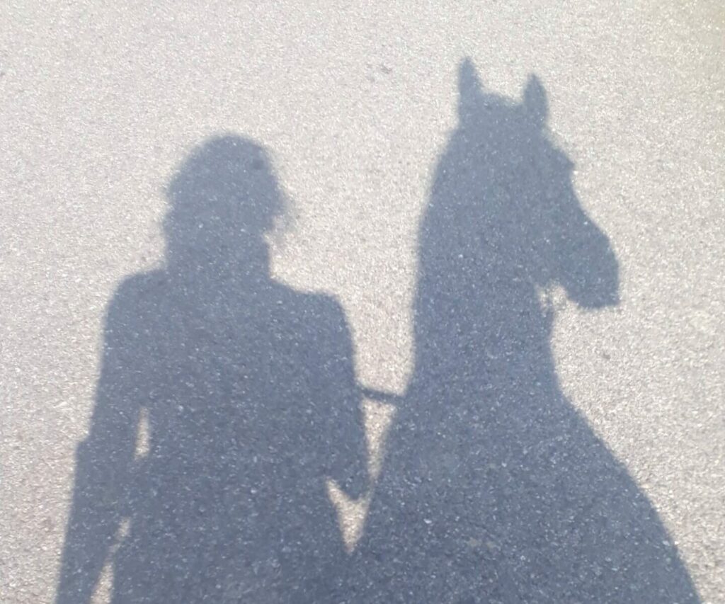 équithérapie femme cheval