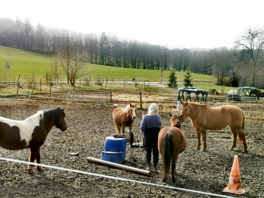 equitherapie